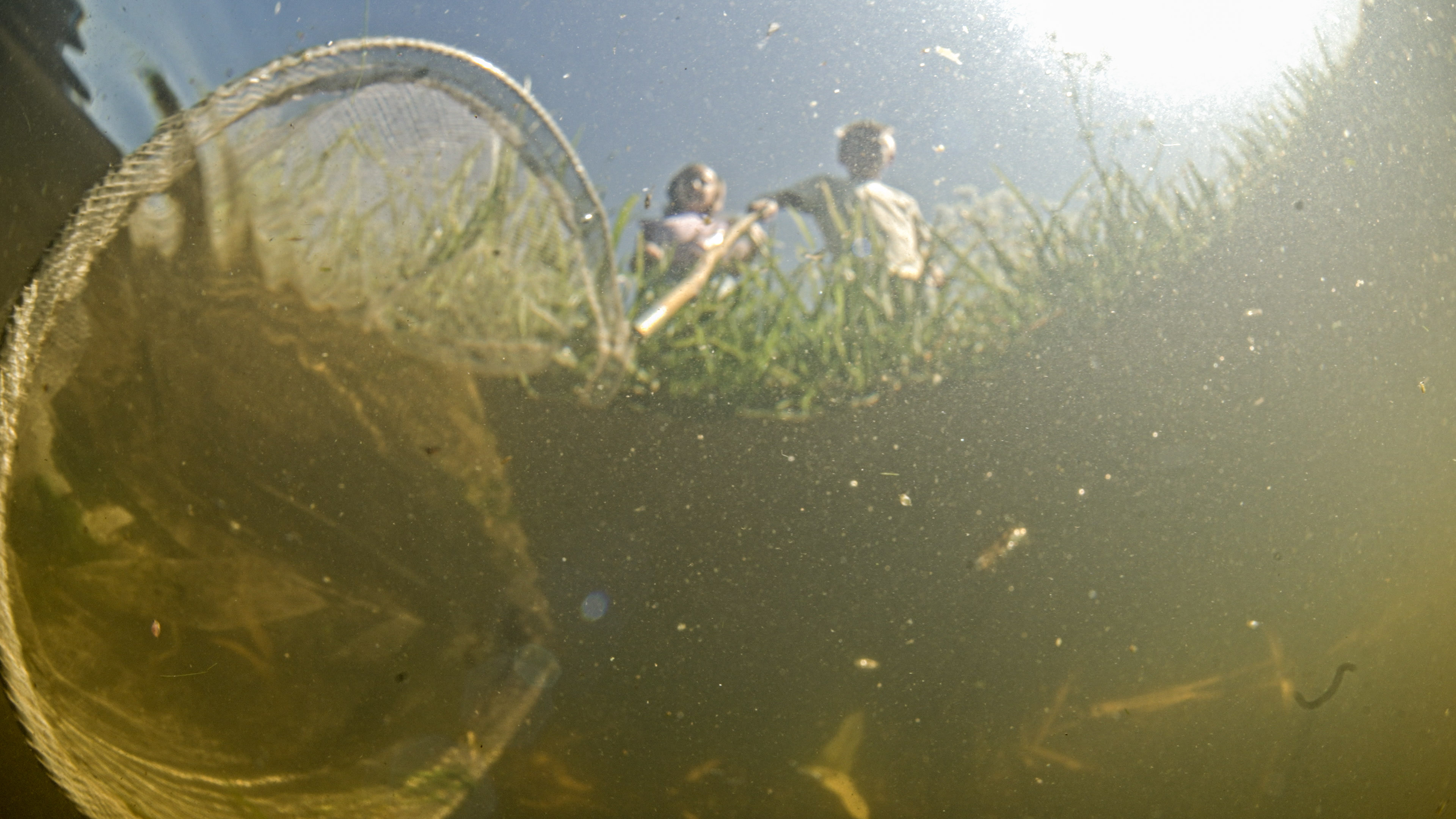 Slootjesdag Waterschap Amstel, Gooi en Vecht